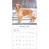 image Golden Retrievers Photo 2026 Wall Calendar_ALT3