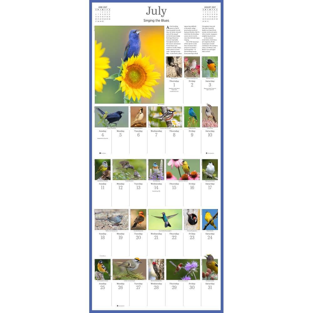 Audubon Songbirds and Other Backyard Birds Picture-A-Day 2027 Wall Calendar Fourth Alternate Image