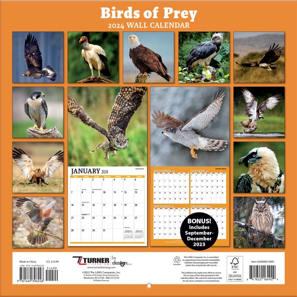 birds-of-prey-2024-wall-calendar-12-x-24-open-ebay