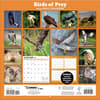 image Birds Of Prey Photo 2024 Wall Calendar First Alternate  Image width=&quot;1000&quot; height=&quot;1000&quot;