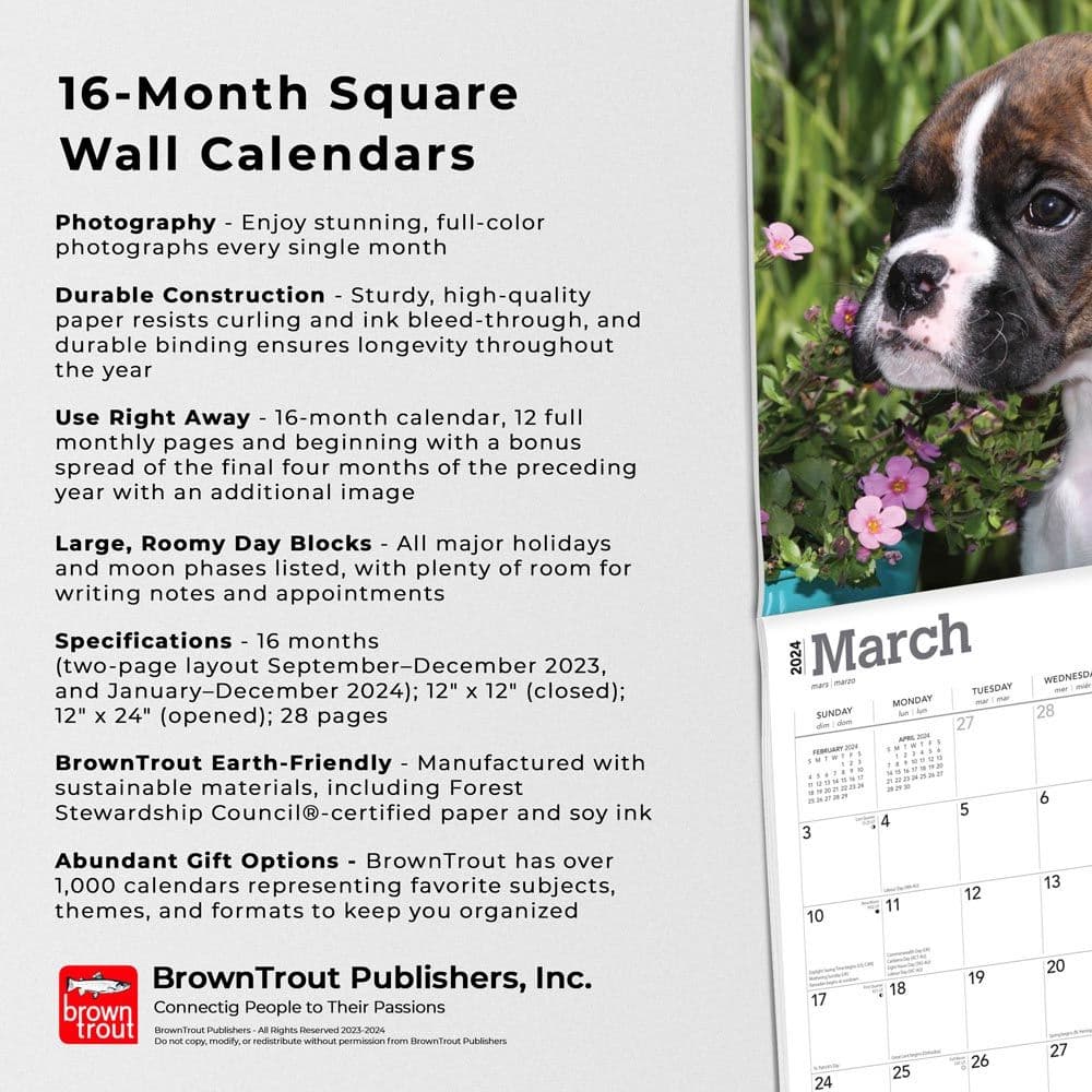 Boxer Puppies Wall 2024 Desk Calendar