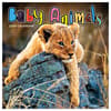 image Baby Animals - Wildlife 2024 Mini Wall Calendar Main Image
