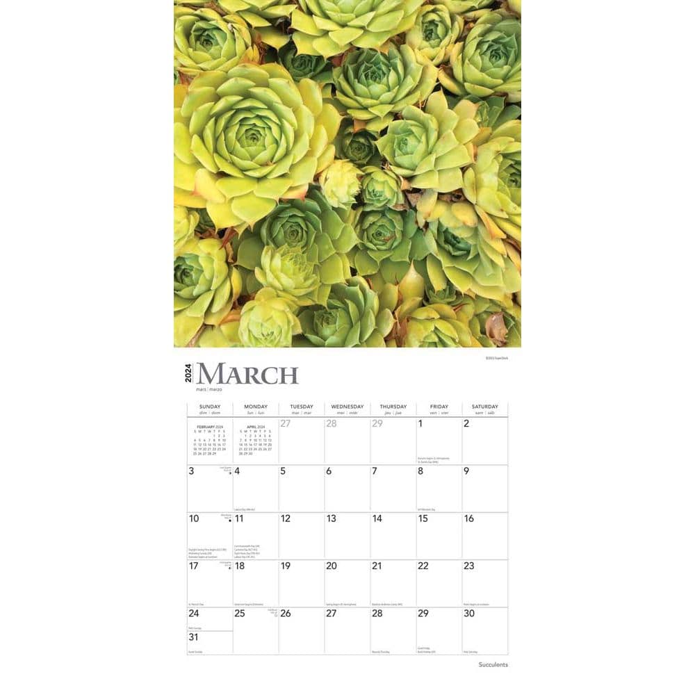 Succulents 2024 Wall Calendar Second Alternate Image width=&quot;1000&quot; height=&quot;1000&quot;