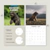 image Bouvier des Flandres 2025 Wall Calendar Alt3