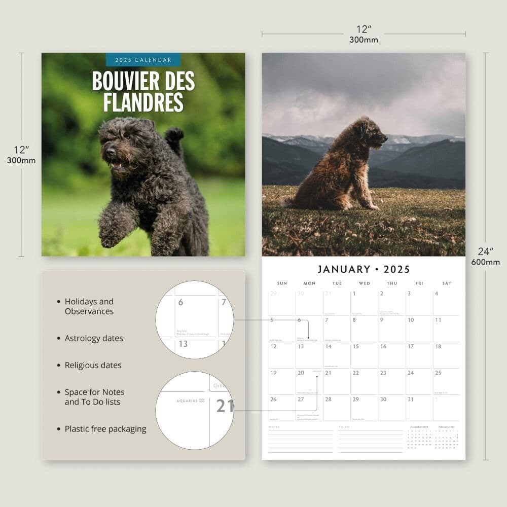 Bouvier des Flandres 2025 Wall Calendar Alt3