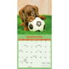 image Playful Puppies 2025 Mini Wall Calendar Third Alternate Image width="1000" height="1000"