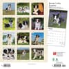 image Border Collie Puppies 2024 Wall Calendar First Alternate Image width=&quot;1000&quot; height=&quot;1000&quot;