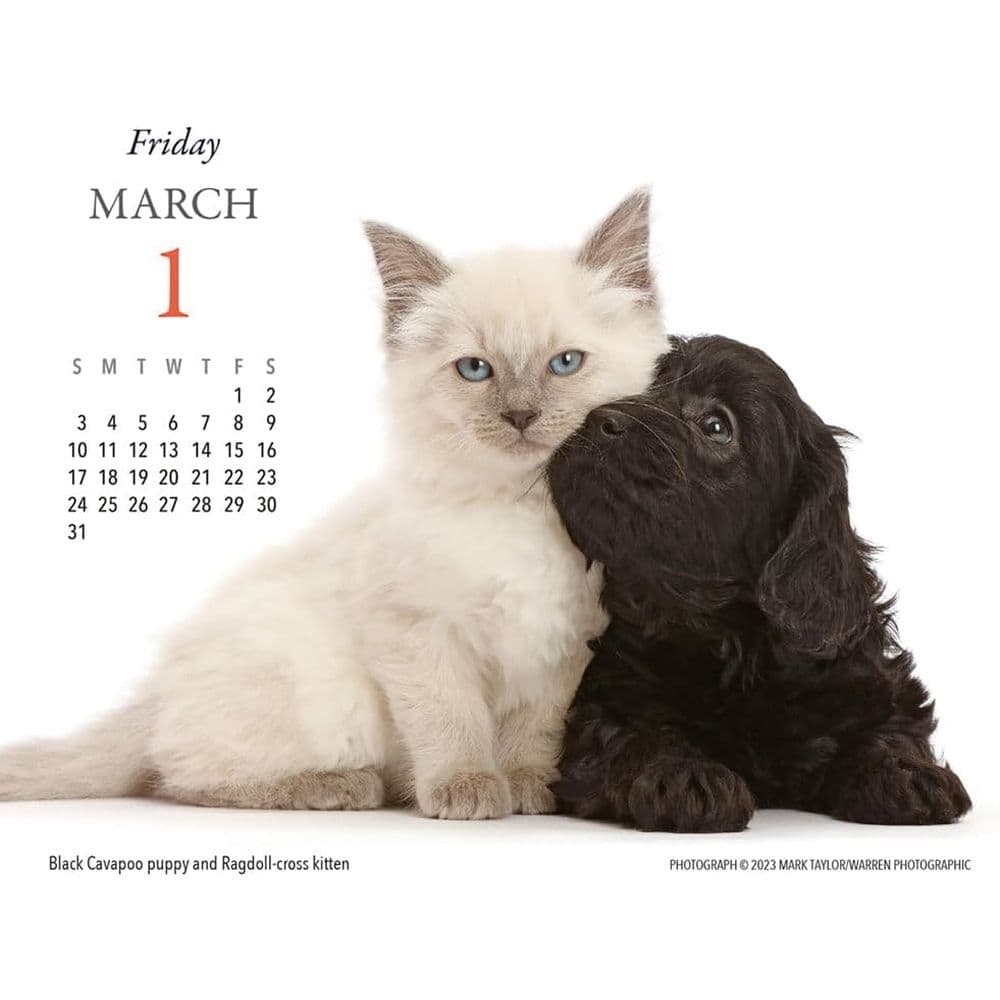 Puppies and Friends 2024 Desk Calendar Fourth Alternate Image width=&quot;1000&quot; height=&quot;1000&quot;