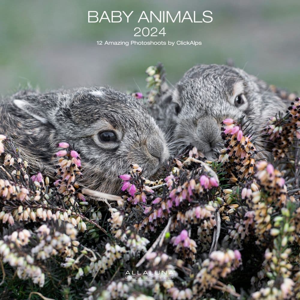 Baby Animals 2024 Wall Calendar