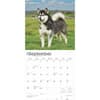 image Alaskan Malamutes 2025 Wall Calendar Second Alternate Image width=&quot;1000&quot; height=&quot;1000&quot;