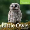image Audubon Little Owls 2024 Mini Wall Calendar Main Product Image width=&quot;1000&quot; height=&quot;1000&quot;