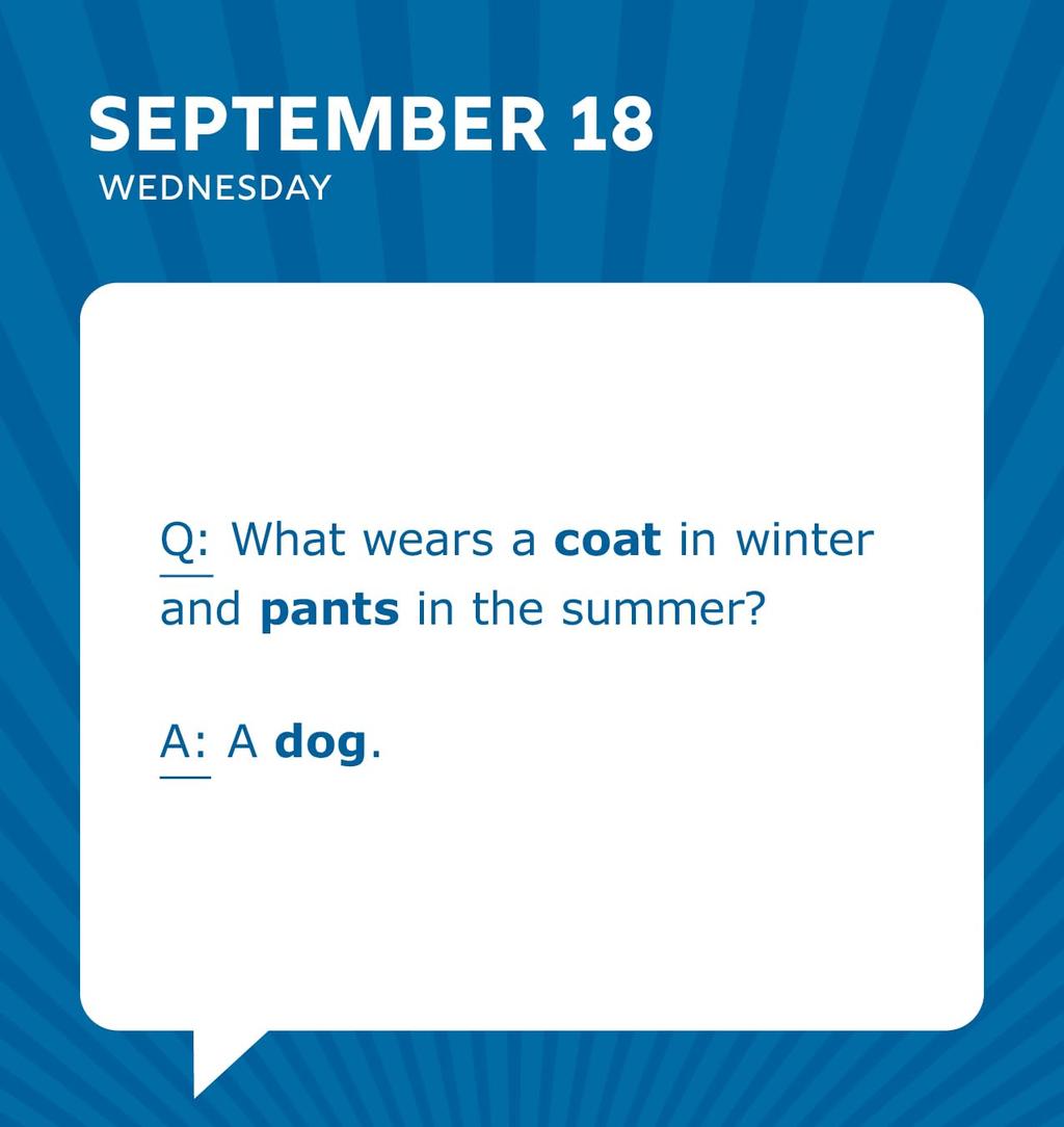 Dad Jokes 2024 Desk Calendar