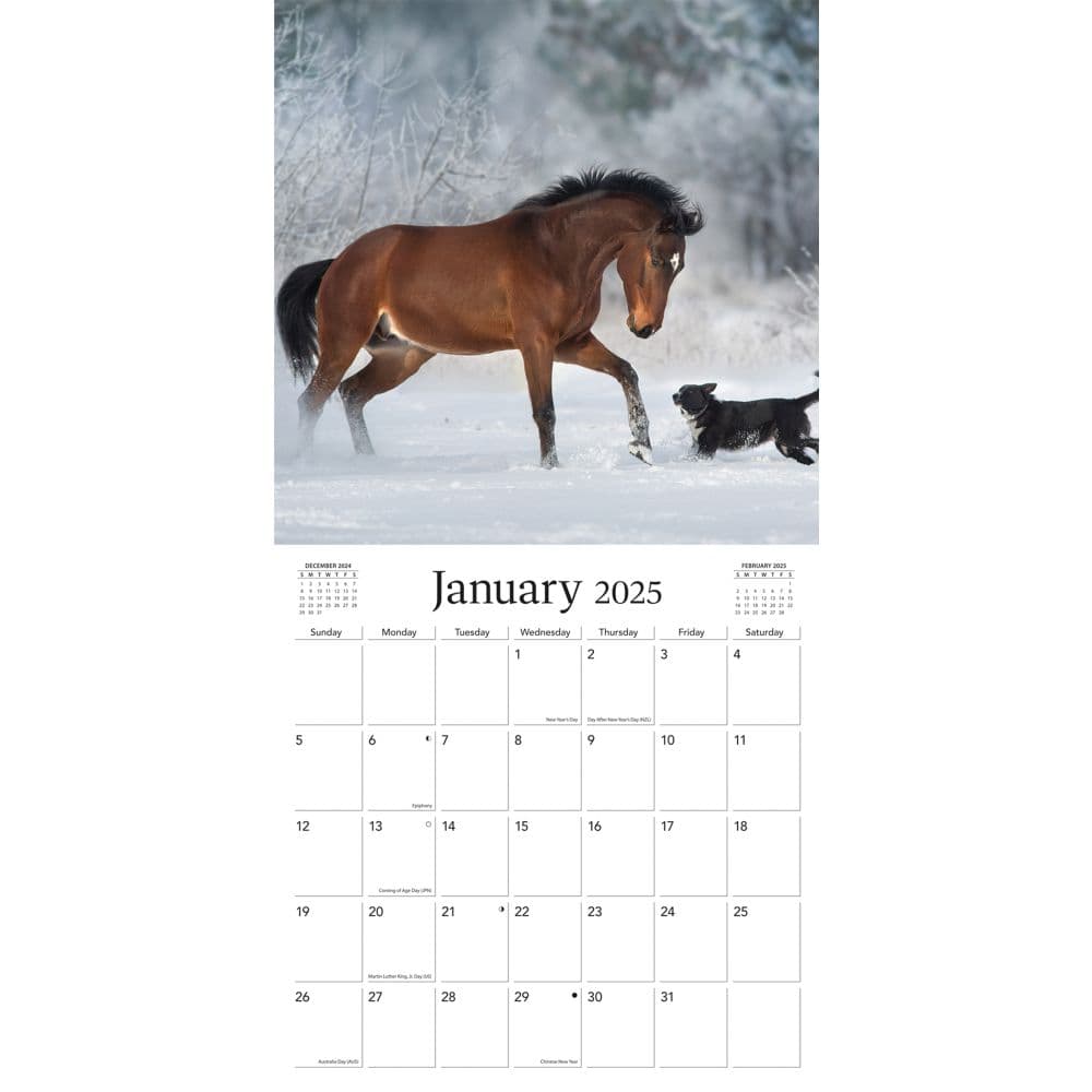 Horses Special Value 2025 Mini Wall Calendar Second Alternate Image width=&quot;1000&quot; height=&quot;1000&quot;