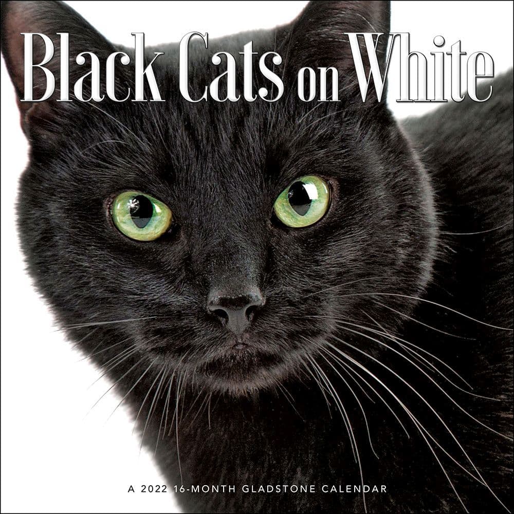 Black Cats On White 2022 Wall Calendar