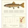 image Trout of North America 2025 Wall Calendar Third Alternate Image width=&quot;1000&quot; height=&quot;1000&quot;