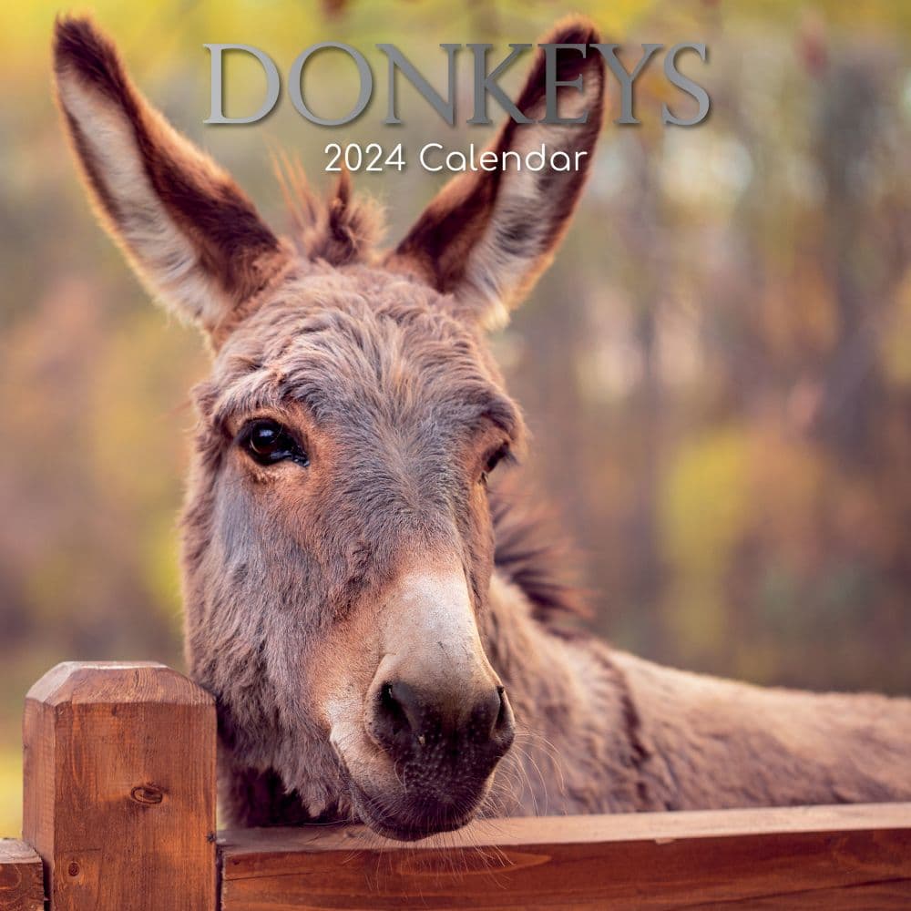 Donkeys 2024 Wall Calendar