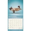 image Yoga Cats 2025 Wall Calendar Second Alternate Image width=&quot;1000&quot; height=&quot;1000&quot;