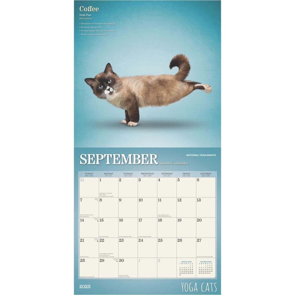 Yoga Cats 2025 Wall Calendar Second Alternate Image width=&quot;1000&quot; height=&quot;1000&quot;