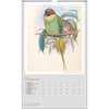 image Goulds Exotic Birds Poster 2025 Wall Calendar Second Alternate Image width="1000" height="1000"