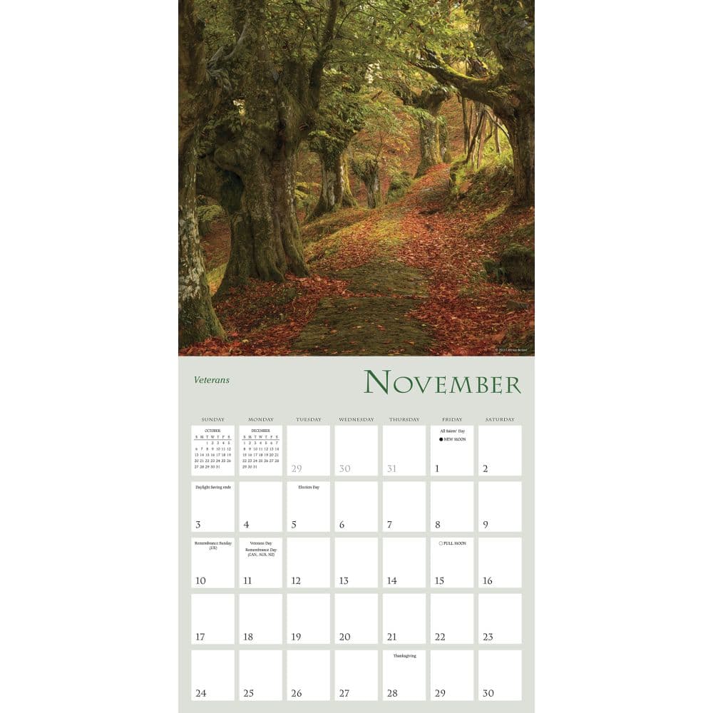Enchanted Pathways 2025 Wall Calendar
