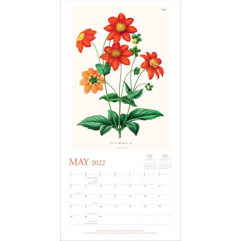 Myriad Gardens Christmas Schedule 2022 New York Botanical Garden 2022 Wall Calendar - Calendars.com