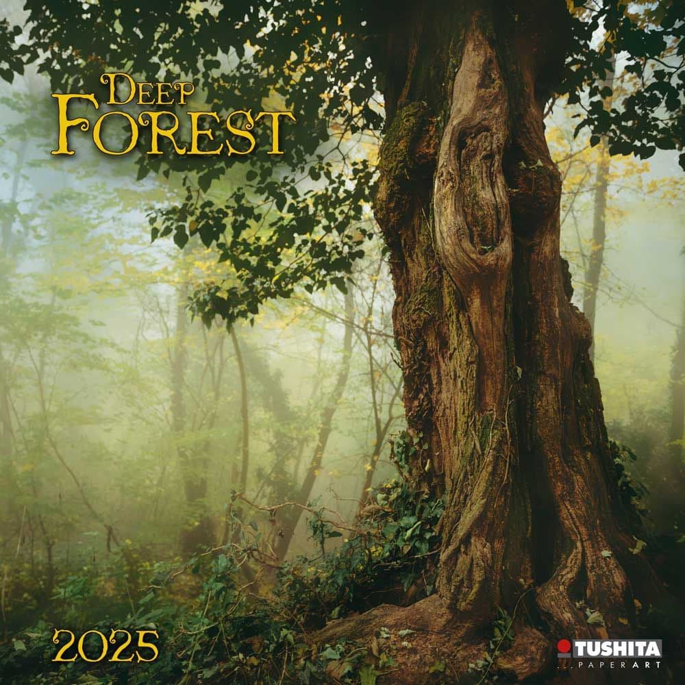 Deep Forest 2025 Wall Calendar Main Image