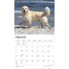 image Golden Retrievers Deluxe 2025 Wall Calendar Second Alternate Image