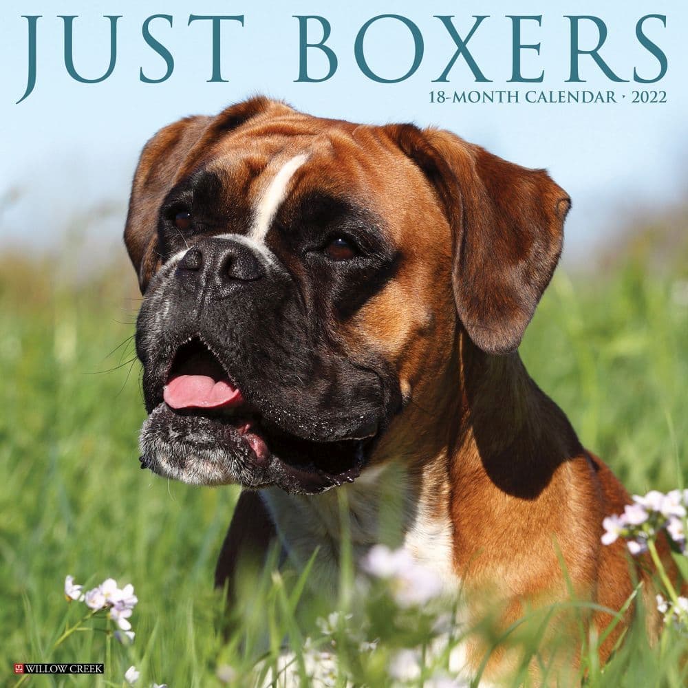 Just Boxers 2022 Wall Calendar - Calendars.com