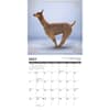 image Llama Yoga 2025 Wall Calendar Second Alternate Image width=&quot;1000&quot; height=&quot;1000&quot;