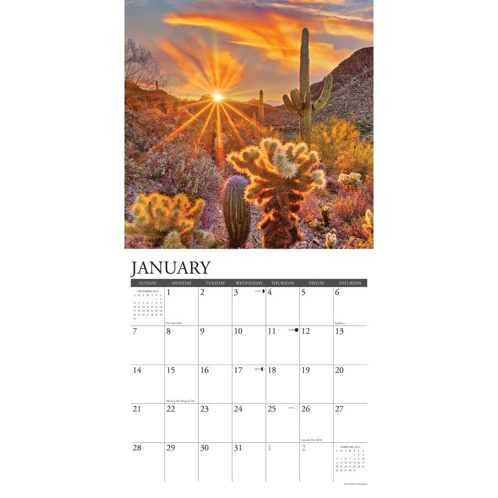 Cactus 2024 Wall Calendar