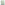image Be Here Now Ram Dass Weekly 2025 Planner Main Product Image width=&quot;1000&quot; height=&quot;1000&quot;