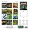 image Mushrooms 2025 Mini Wall Calendar First Alternate Image width=&quot;1000&quot; height=&quot;1000&quot;