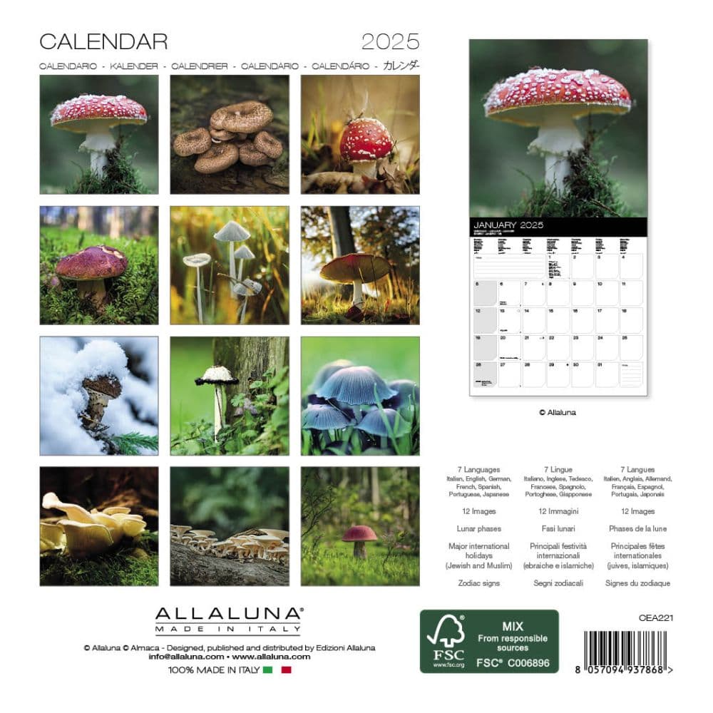 Mushrooms 2025 Mini Wall Calendar First Alternate Image width=&quot;1000&quot; height=&quot;1000&quot;