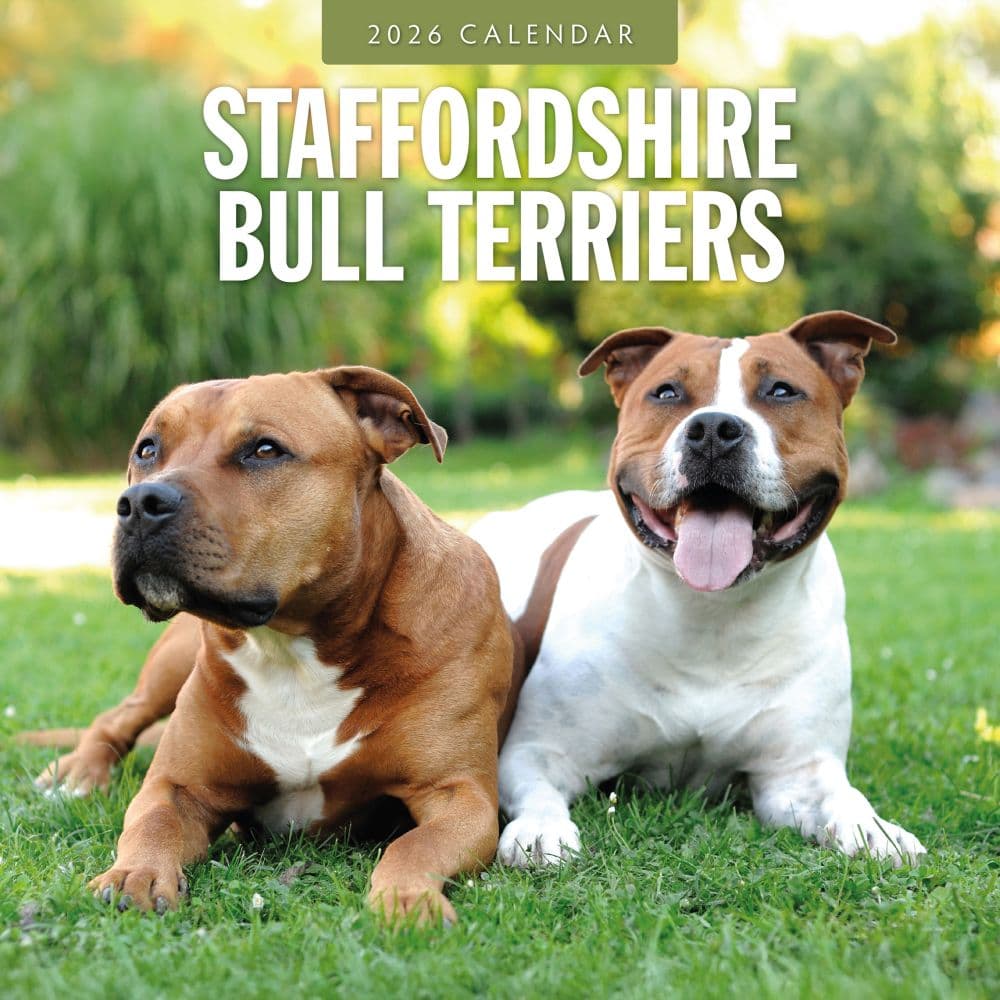 Staffordshire Bull Terriers 2026 Wall Calendar Main Product Image