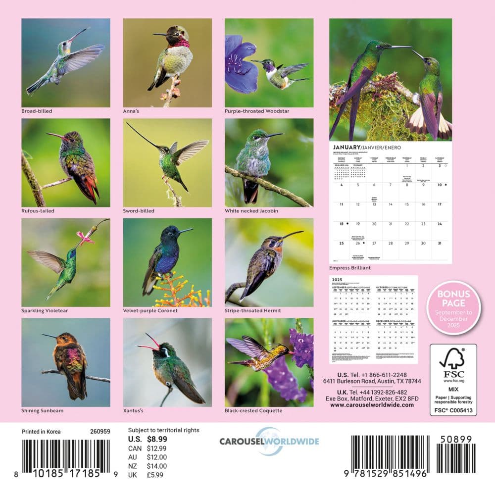 Hummingbirds Special Value 2026 Mini Wall Calendar First Alternate Image