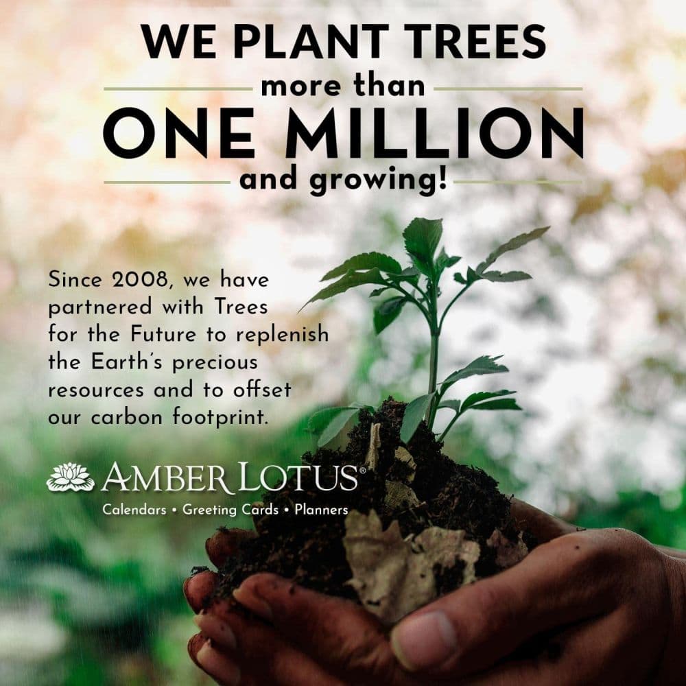 Elizabeth Olwen 2024 Wall Calendar