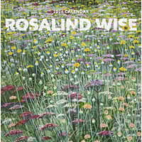 image Rosalind Wise 2026 Wall Calendar Main Image