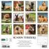 image Just Cairn Terrier 2025 Wall Calendar
