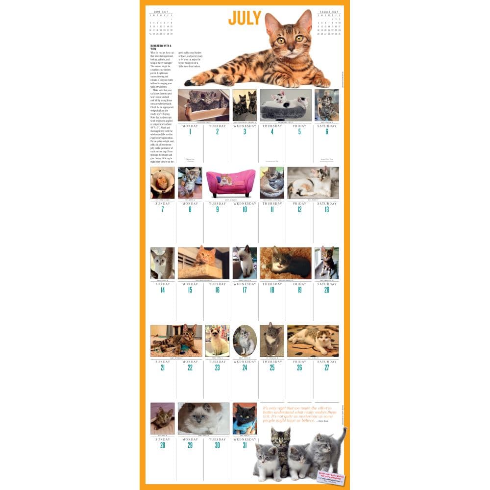 Kittens 365 Days 2024 Wall Calendar Alternate Image 1