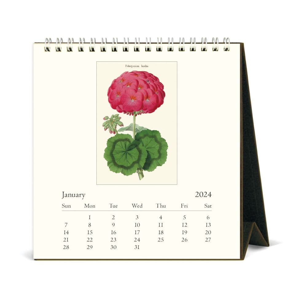 Botanica Art 2024 Easel Desk Calendar Second Alternate Image