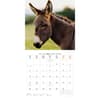 image Donkeys 2025 Wall Calendar Fifth Alternate Image width="1000" height="1000"