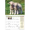 image Old Farmers Almanac Country 2026 Wall Calendar Second Alternate Image