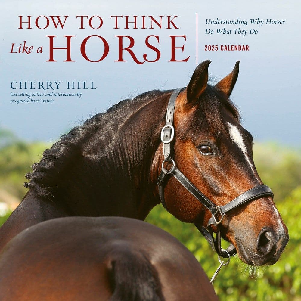 image How to Think Like a Horse 2025 Wall Calendar Main Image