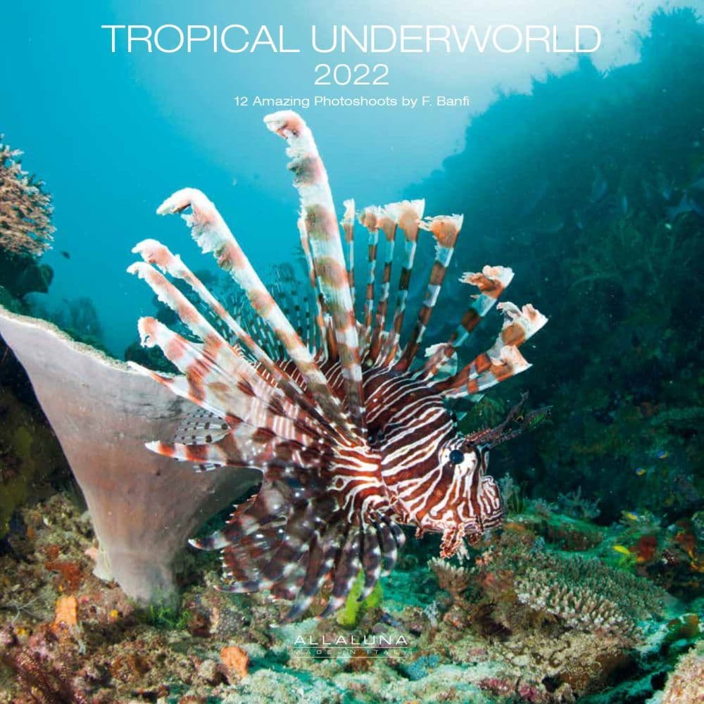 Tropical Underworld Alla Luna 2022 Wall Calendar