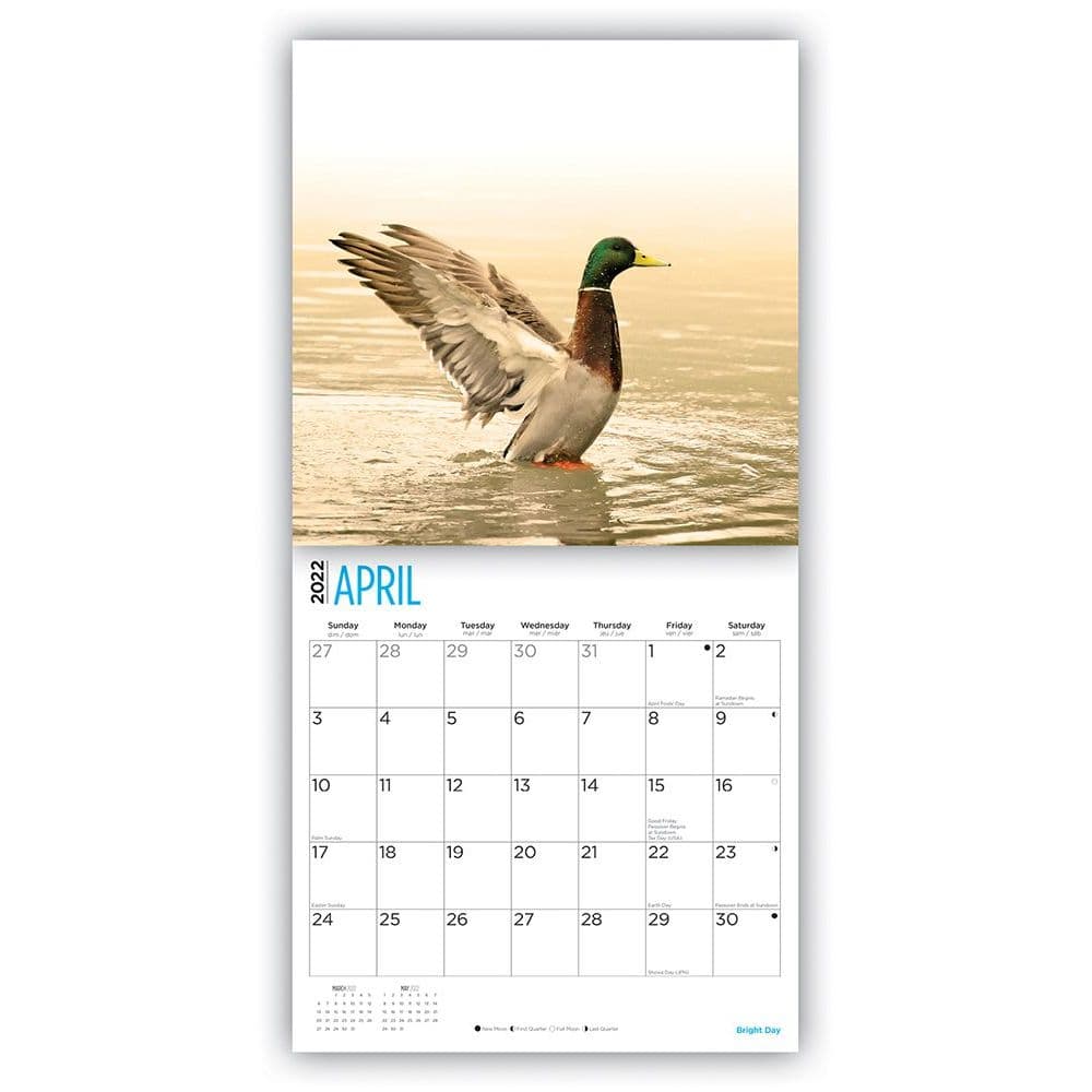 Mallards Schedule 2022 Ducks 2022 Wall Calendar - Calendars.com