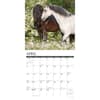 image Just Horses 2025 Wall Calendar Second Alternate Image width=&quot;1000&quot; height=&quot;1000&quot;