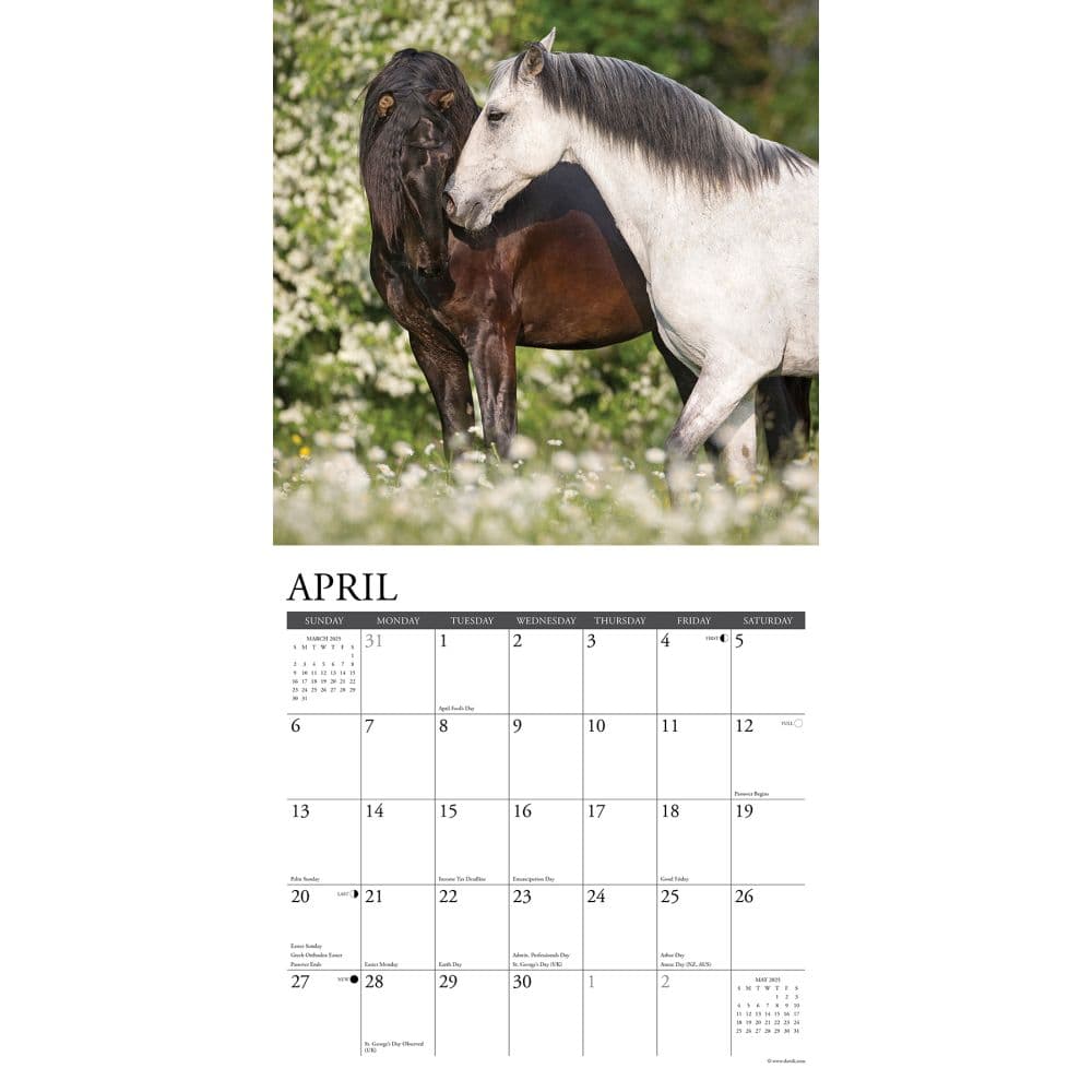 Just Horses 2025 Wall Calendar Second Alternate Image width=&quot;1000&quot; height=&quot;1000&quot;