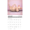 image Pig Pilates 2025 Wall Calendar Second Alternate Image width="1000" height="1000"