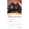 image Puppies 2026 Mini Wall Calendar Second Alternate Image