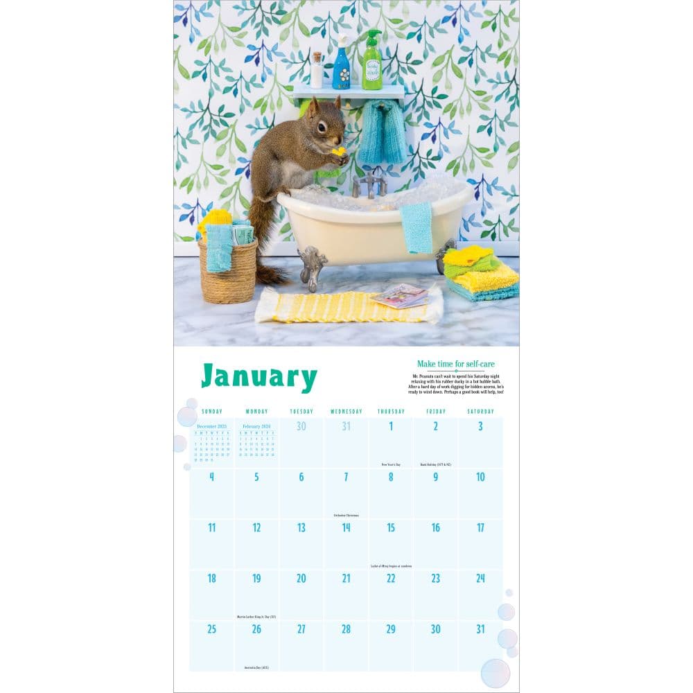 Secret Life of Squirrels 2026 Wall Calendar Second Alternate Image